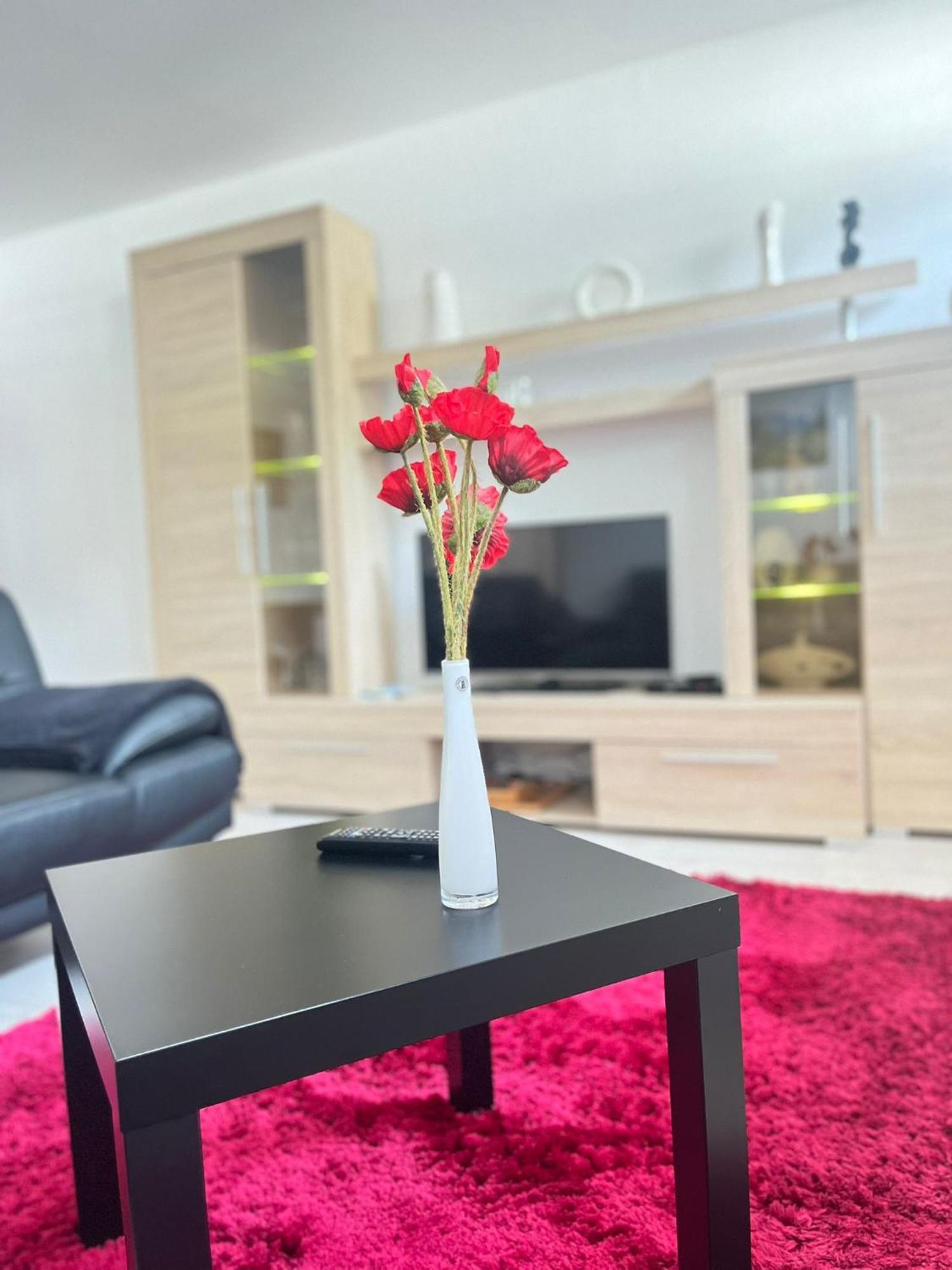 Myhome Einsiedel An Der Zwoenitz 1 켐니츠 외부 사진